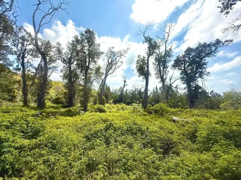 92-2073 Kailua Boulevard Captain Cook HI 96737