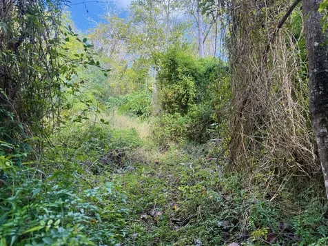 92-2073 Kailua Boulevard Captain Cook HI 96737