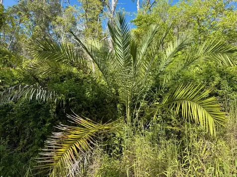 92-2073 Kailua Boulevard Captain Cook HI 96737