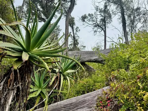 92-2073 Kailua Boulevard Captain Cook HI 96737