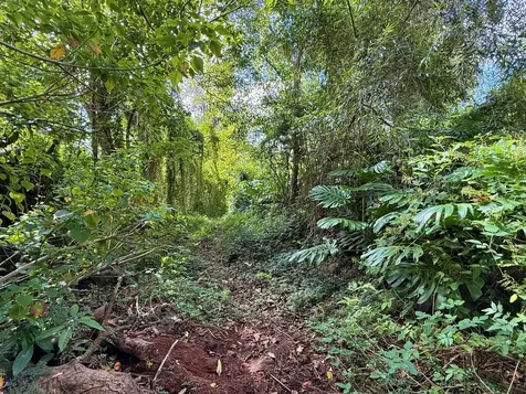 92-2073 Kailua Boulevard Captain Cook HI 96737