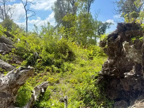 92-2073 Kailua Boulevard Captain Cook HI 96737