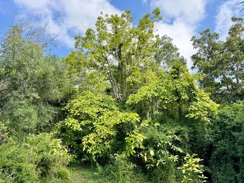 92-2073 Kailua Boulevard Captain Cook HI 96737