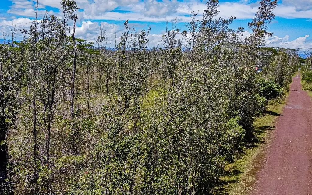 Sandalwood Court Keaau HI 96749