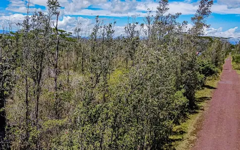 Sandalwood Court Keaau HI 96749