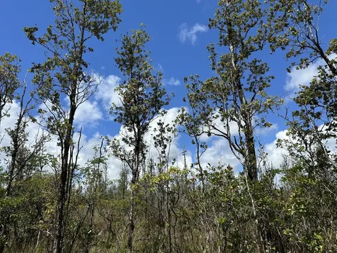 Sandalwood Court Keaau HI 96749