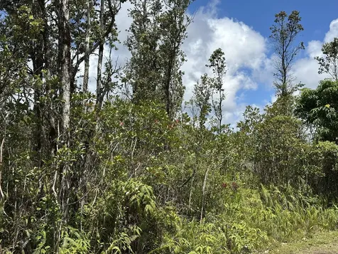 Sandalwood Court Keaau HI 96749