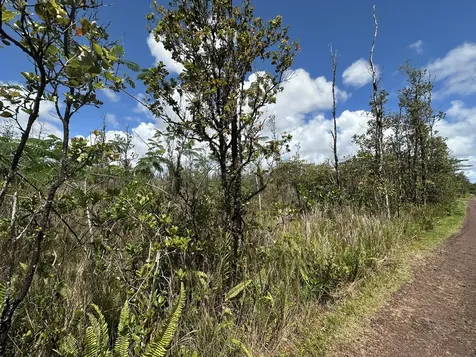 Sandalwood Court Keaau HI 96749