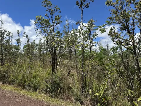 Sandalwood Court Keaau HI 96749