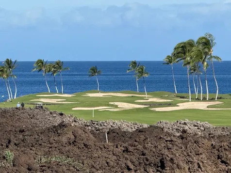 68-1059 Honokaope Way Kamuela HI 96743