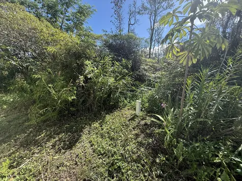 3RD Avenue Keaau HI 96749