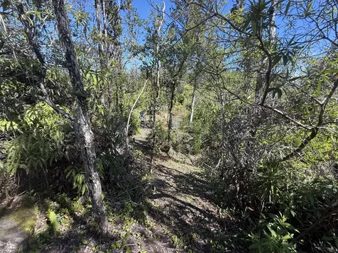 3RD Avenue Keaau HI 96749