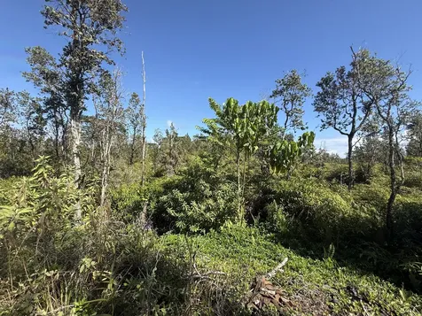 3RD Avenue Keaau HI 96749