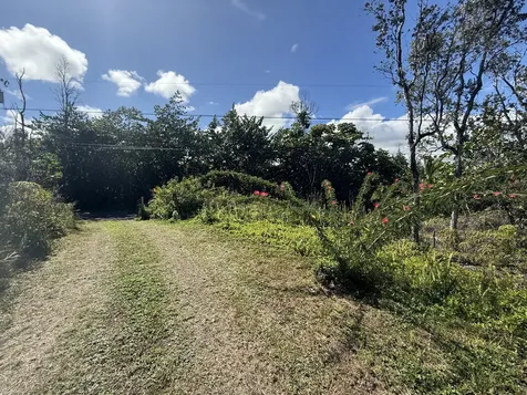 3RD Avenue Keaau HI 96749