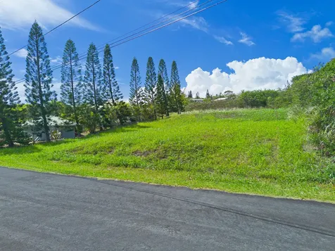 94-1436 Kaulua Circle Naalehu HI 96772
