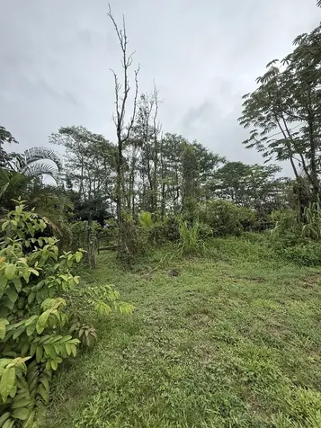 15-1719 13th Avenue Keaau HI 96749