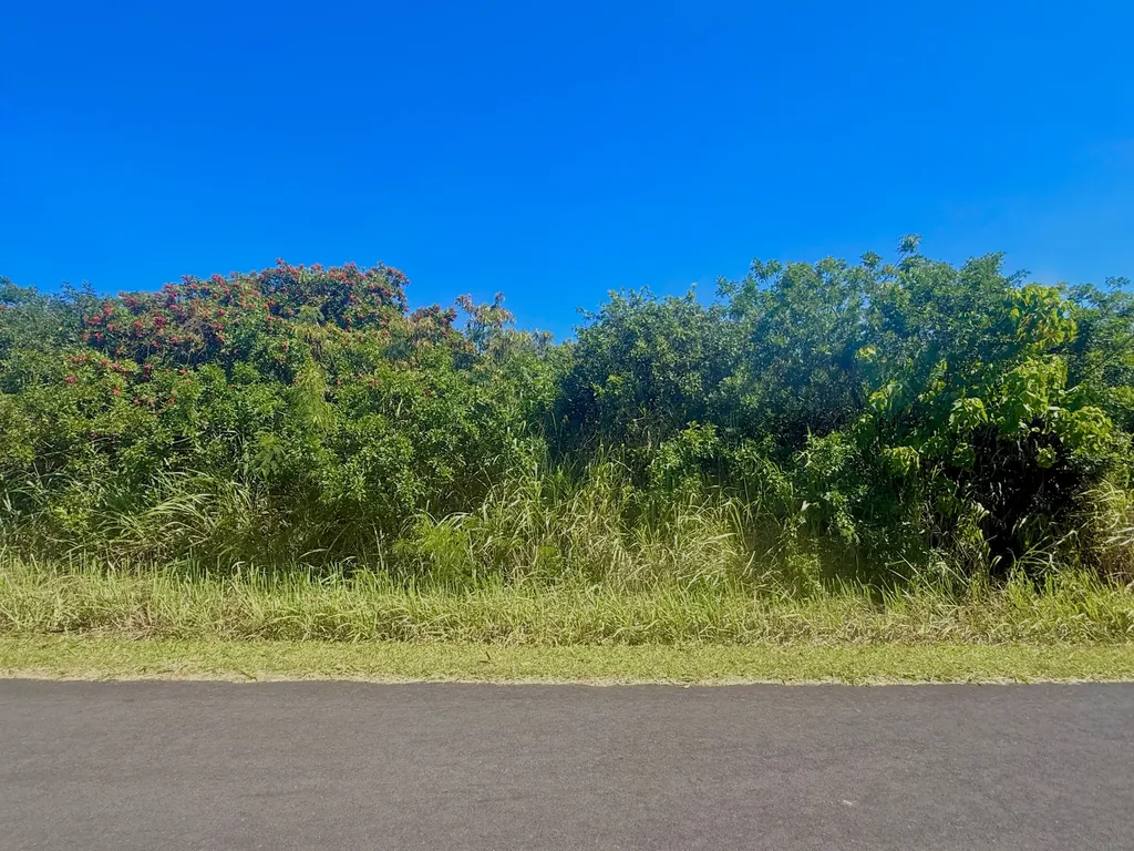 Lewa Lani Street Naalehu HI 96772