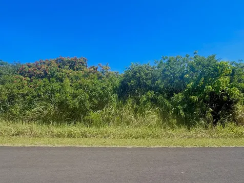 Lewa Lani Street Naalehu HI 96772