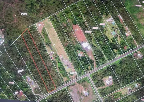 16-463 Aulii Street Kurtistown HI 96760