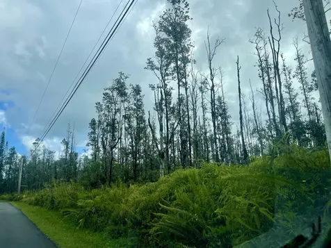 16-463 Aulii Street Kurtistown HI 96760