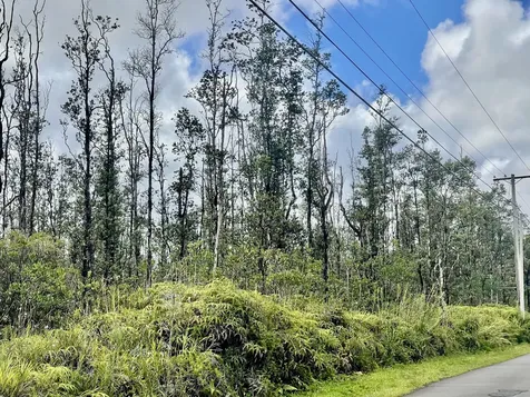 16-463 Aulii Street Kurtistown HI 96760