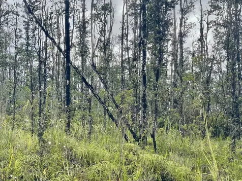 16-463 Aulii Street Kurtistown HI 96760