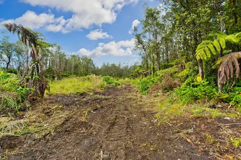 11-3077-A Puolani Street Volcano HI 96785