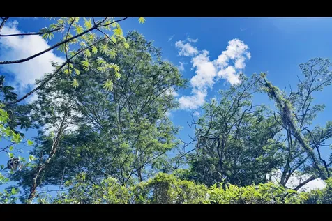 18TH Avenue Keaau HI 96749