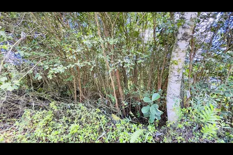 18TH Avenue Keaau HI 96749