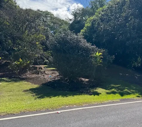 2501 Kilauea Avenue Hilo HI 96720