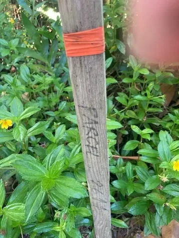 15-1144 Amau Road Keaau HI 96749