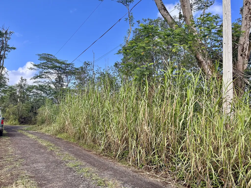 King Kamehameha Boulevard Kurtistown HI 96760