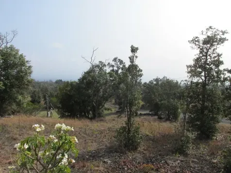 92 Koa Lane Ocean View HI 96737