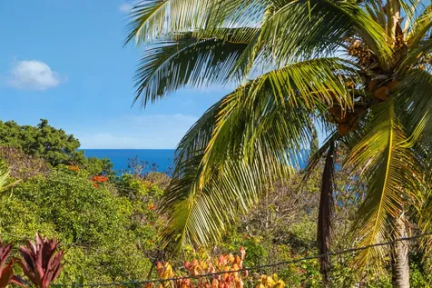 48-5441 Kukuihaele Road Honokaa HI 96727