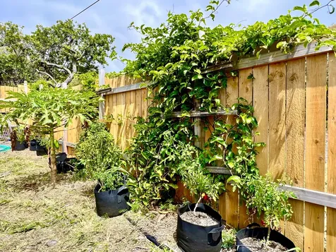 94-6479 Puukani Road Naalehu HI 96772