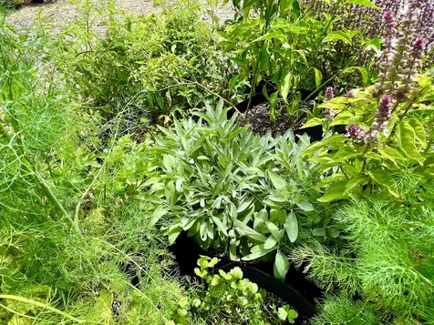 94-6479 Puukani Road Naalehu HI 96772