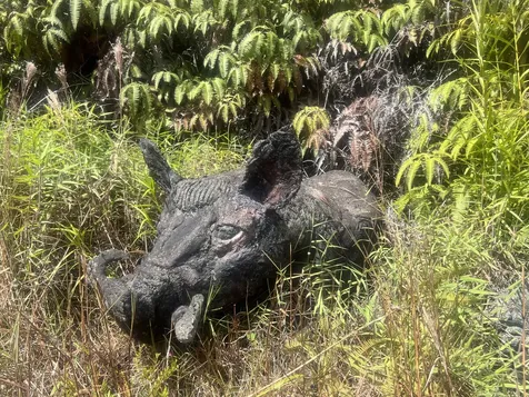 11-3234 Volcano Road Volcano HI 96785