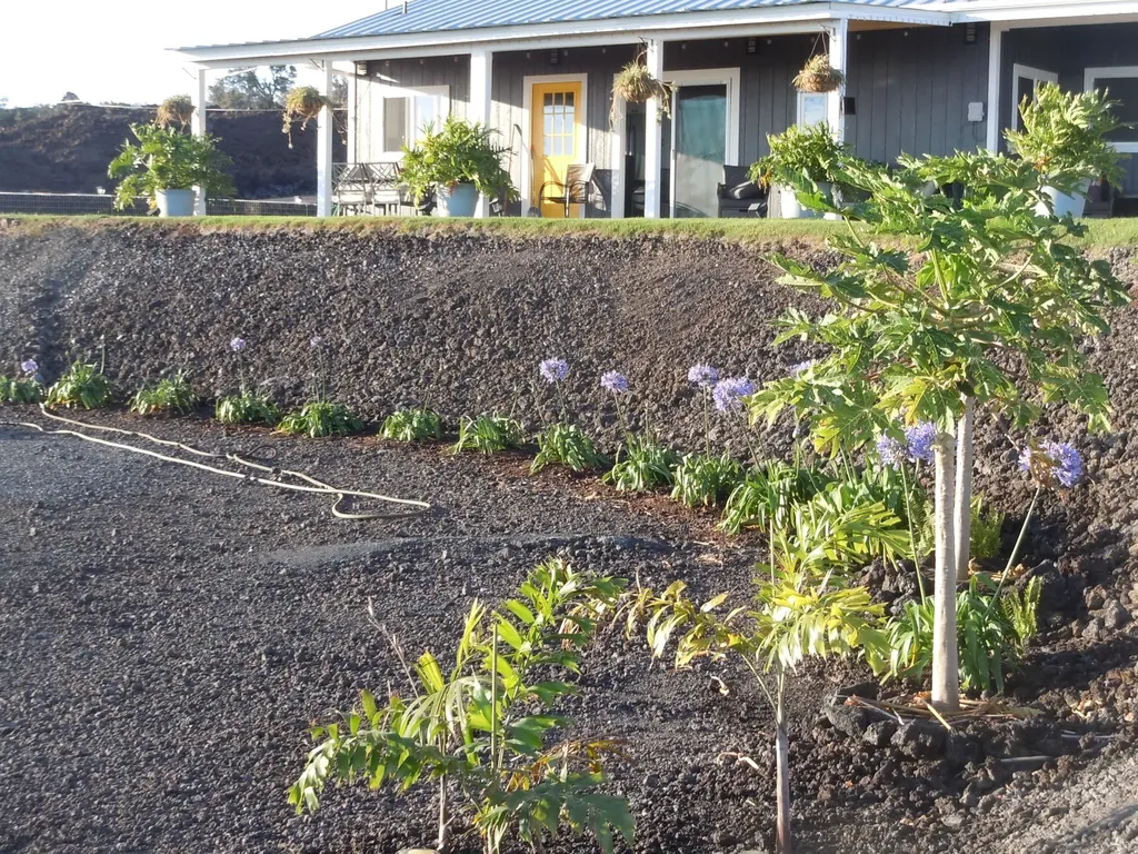 92-8344 Hibiscus Drive Ocean View HI 96737