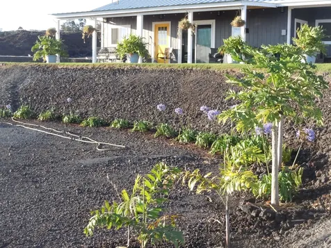 92-8344 Hibiscus Drive Ocean View HI 96737