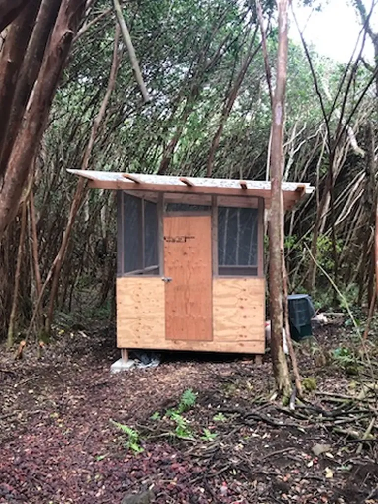 1 Lanai Street Pahoa HI 96778