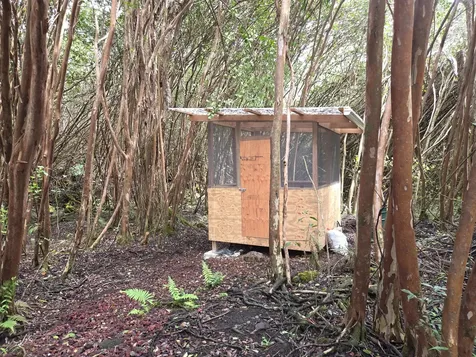 1 Lanai Street Pahoa HI 96778