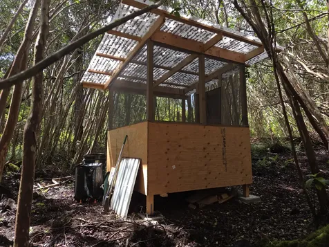 1 Lanai Street Pahoa HI 96778