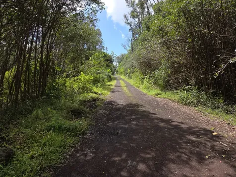 1 Lanai Street Pahoa HI 96778