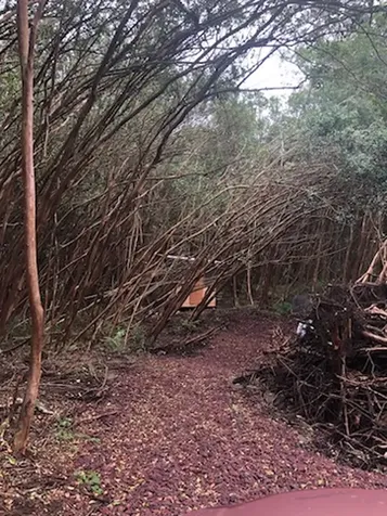 1 Lanai Street Pahoa HI 96778