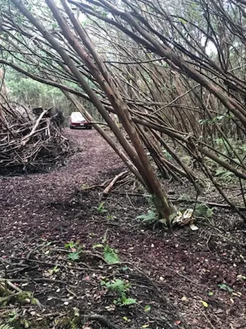 1 Lanai Street Pahoa HI 96778