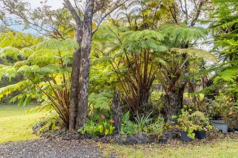 99-7814 Kapoha Place Volcano HI 96785