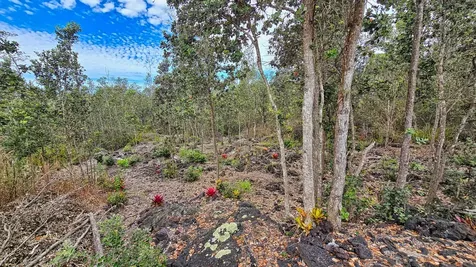 92-6103 Orchid Makai Circle Ocean View HI 96737