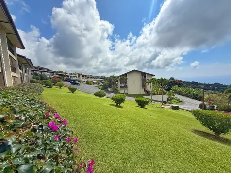 79-7199 Mamalahoa Highway Holualoa HI 96725