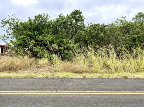 Kaulua Street Naalehu HI 96772