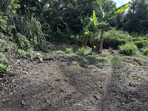 53-4214-A Akoni Pule Highway Kapaau HI 96755